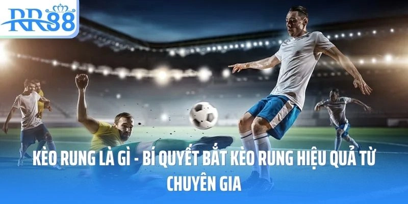 Bí quyết bắt kèo rung chuẩn xác cùng https://knn.jp.net/