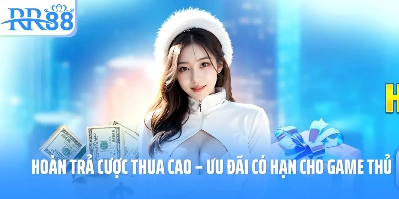 https://knn.jp.net/ Hoàn trả cược thua cao nhất thị trường